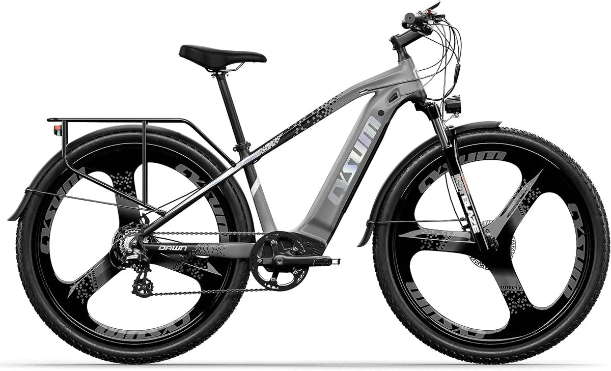 Vélo électrique 100-120km Speedy, 29'' VTT électrique homme femme, moteur 250W 25km, 25km/h, frein à disque hydraulique,7 niveaux de vitesse, adulte