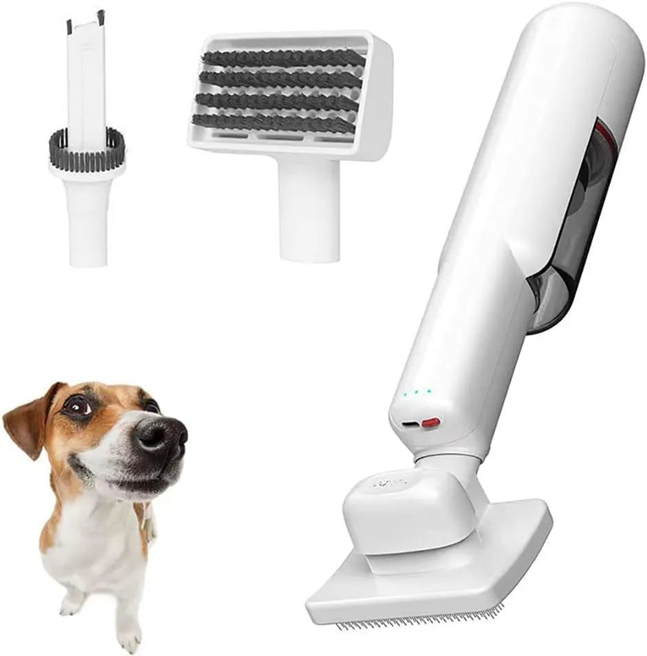 Aspirateur, Outil de toilettage sans fil avec brosse pour le nettoyage de voiture et de maison, à poils d'animaux